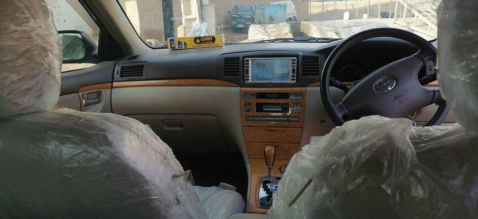 فروش-ومالچه