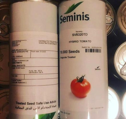 فروش بذر گوجه فرنگی هیبرید 8320 سمینیس