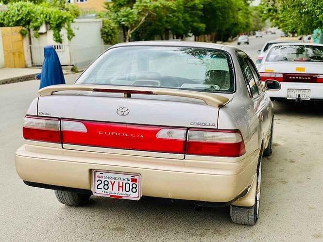 کرولایی کانادایی