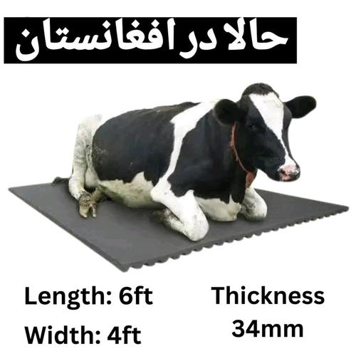 مت گاو (زیر انداز گاو)