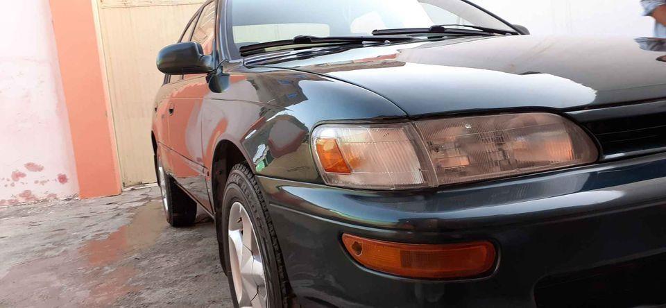 Corolla