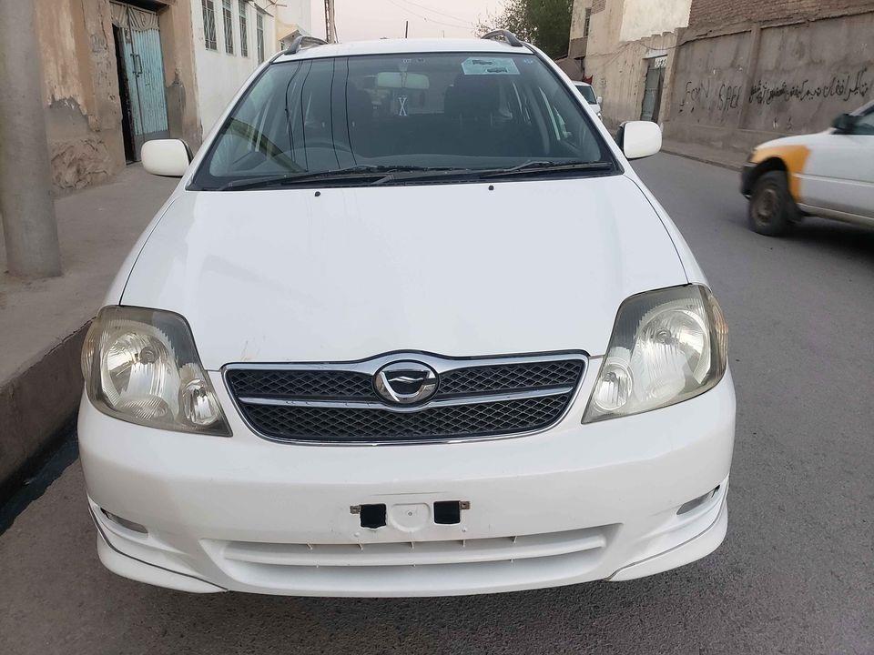 دخرڅ-فلدر-روغ-کورنی-چلیدلی