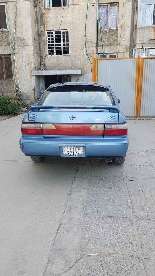 کرولا-کانادی