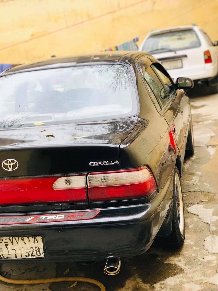 کورولای-کانادایی