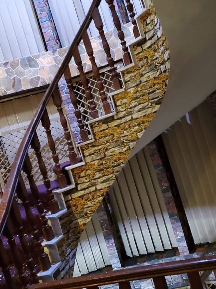 کاغذدیواری