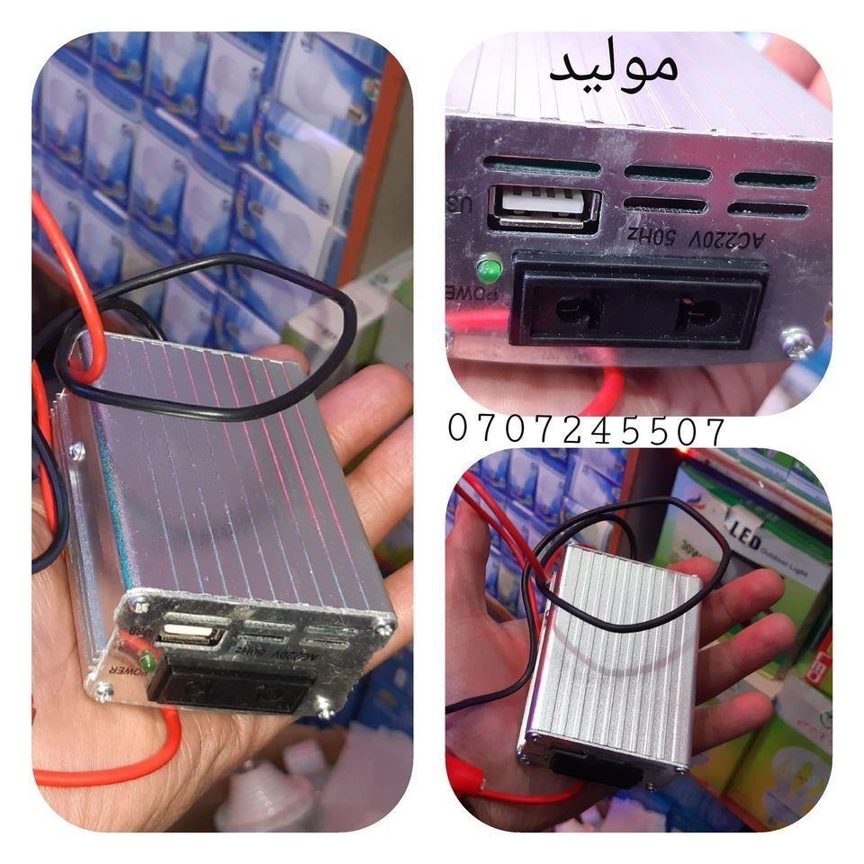 مولید