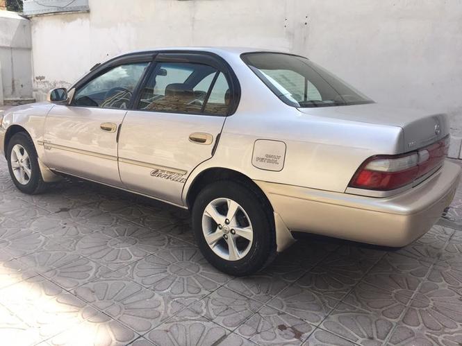 corolla