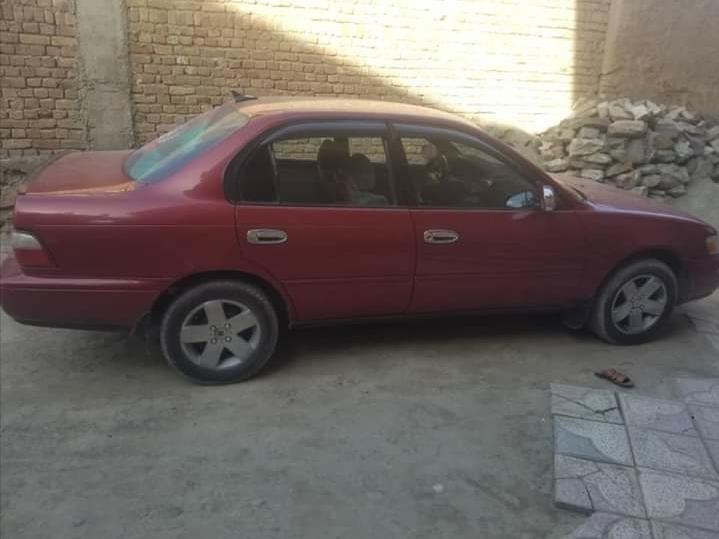 کرولای-کانادایی