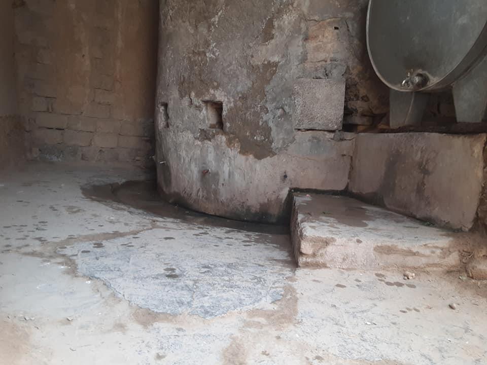 سلامونه