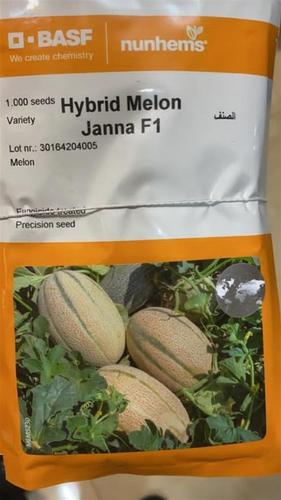 ارسال و فروش بذر خربزه جانا نانهمز