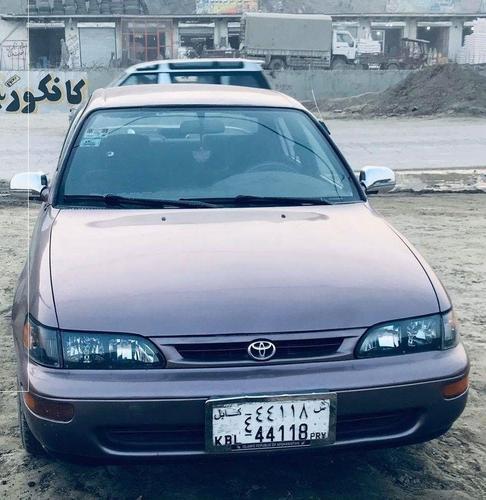 کرولائی کانادای