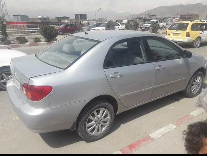 کرولای-کانادایی