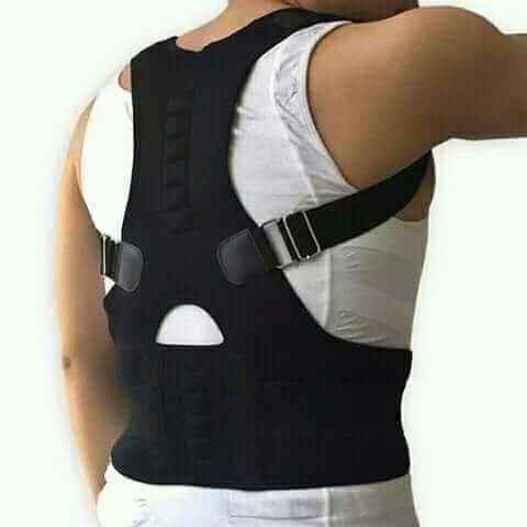 نگهدارنده ویا قوس بند رویال پاستر...0777866631...0780211566.