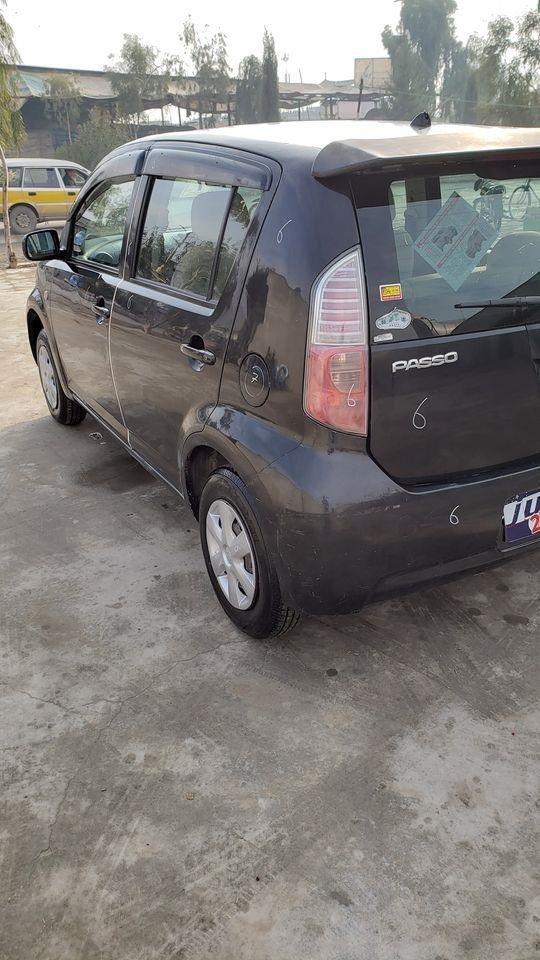 فاسودويش-کاټ