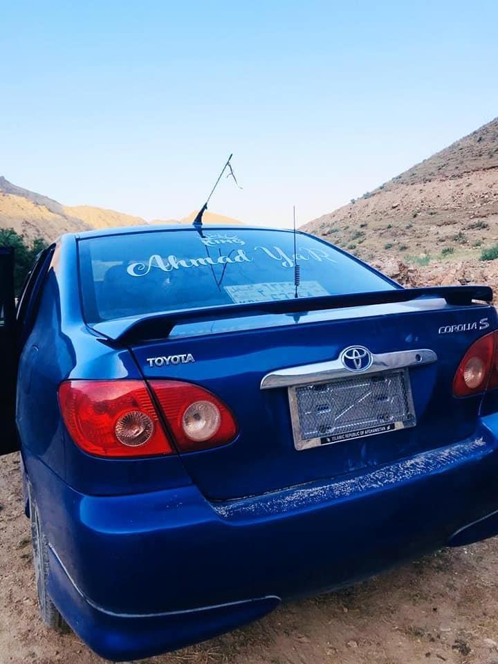 کورولا