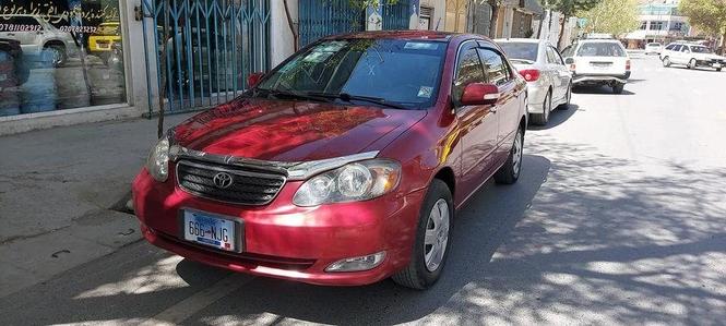 فروش یا مالچه
