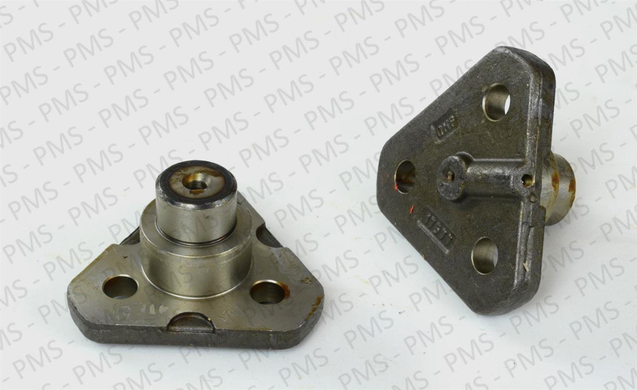 Carraro-King-Pin-Types--Oem-Parts