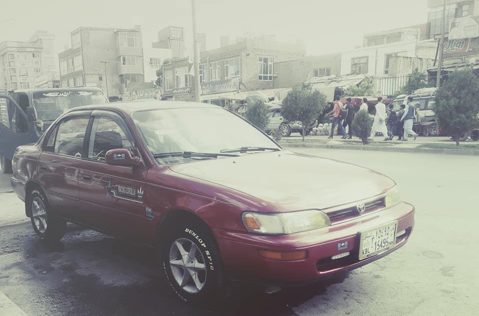 فروش-و-مالچه