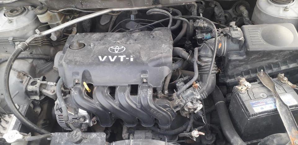 لوکسل-سنګاپوری-2003روغه