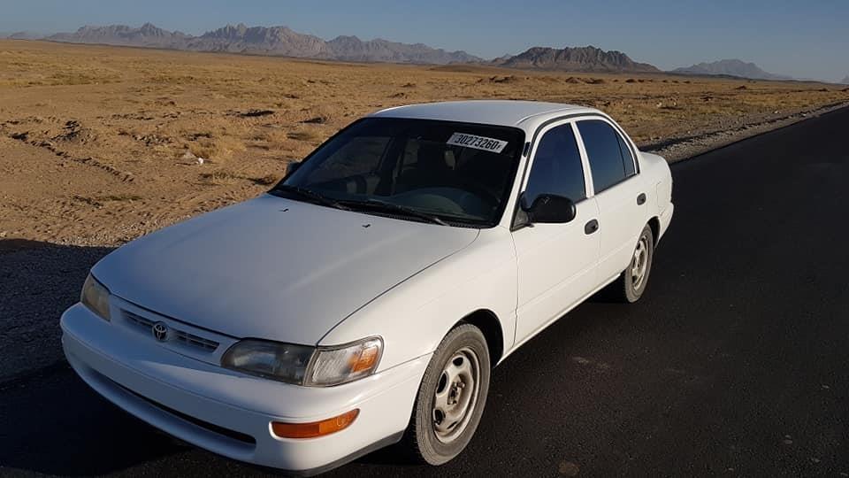 0700318951نمبر-تماس