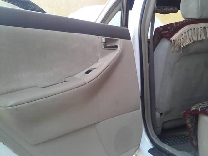 فروش و مالچه