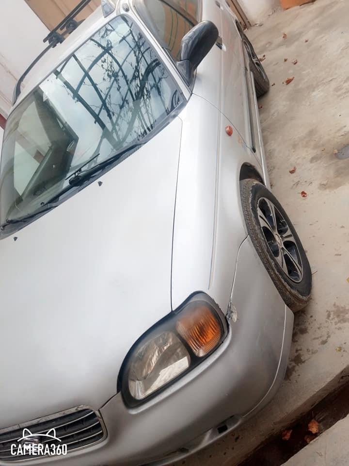 فروش-و-مالچه