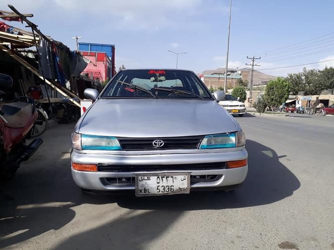 فروش یا مالچه